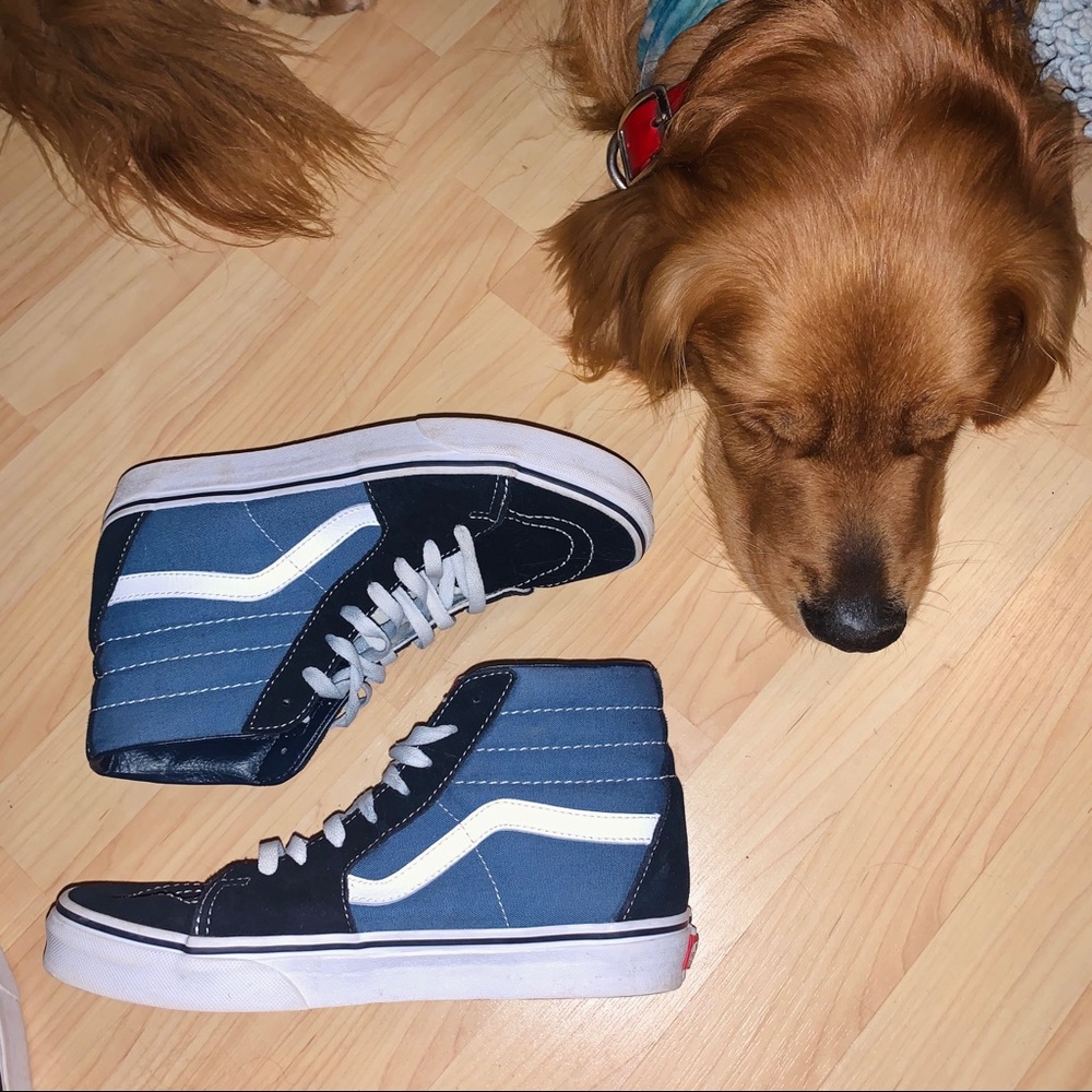 Hi Top Vans